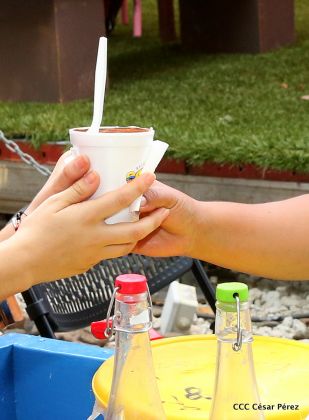 ¡Nos vemos en el Flamingo Fest 2020!