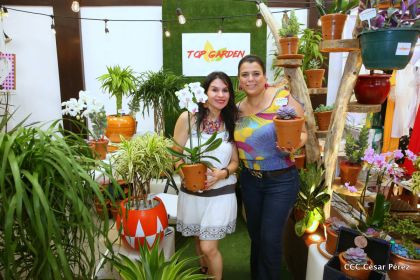 ¡Nos vemos en el Flamingo Fest 2020!