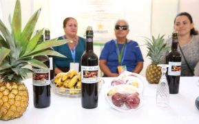 Expo Feria Nacional “Nicaragua Fuerza Bendita”