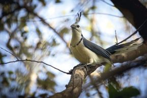 Jaime Lafferty publica imágenes de los volcanes de Nicaragua