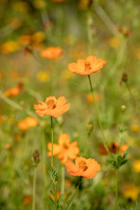 Jaime Lafferty publica imágenes de los volcanes de Nicaragua