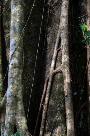 Jaime Lafferty publica imágenes de los volcanes de Nicaragua