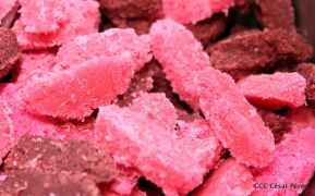 Inauguración del Tercer Festival Gastronómico Internacional