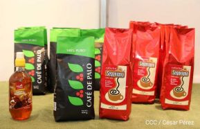 Culmina Expopyme 2019