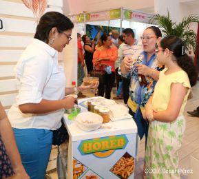 Culmina Expopyme 2019