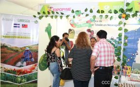Culmina Expopyme 2019