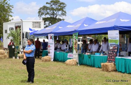 Lanzamiento de la Estrategia Nacional de la Ganadería Bovina