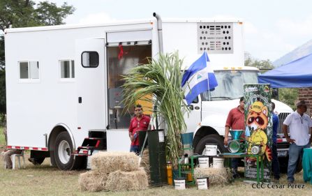 Lanzamiento de la Estrategia Nacional de la Ganadería Bovina