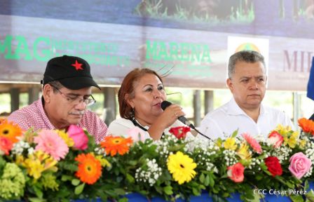 Lanzamiento de la Estrategia Nacional de la Ganadería Bovina