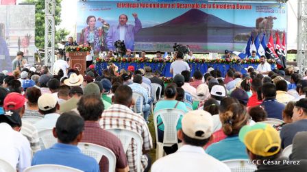 Lanzamiento de la Estrategia Nacional de la Ganadería Bovina
