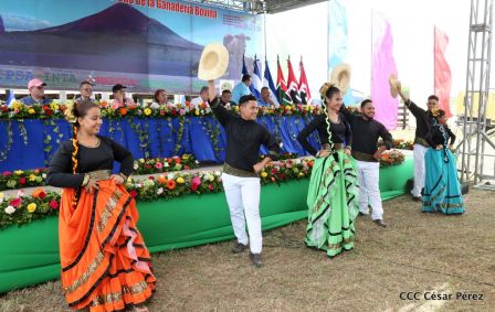 Lanzamiento de la Estrategia Nacional de la Ganadería Bovina