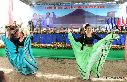 Lanzamiento de la Estrategia Nacional de la Ganadería Bovina