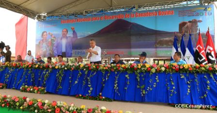 Lanzamiento de la Estrategia Nacional de la Ganadería Bovina