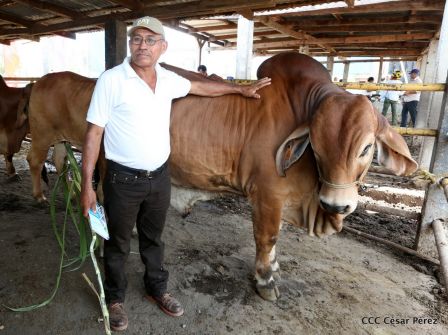 Lanzamiento de la Estrategia Nacional de la Ganadería Bovina
