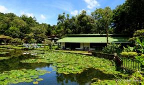 Selva Negra Ecolodge en Matagalpa