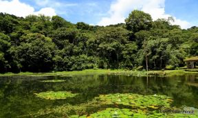 Selva Negra Ecolodge en Matagalpa