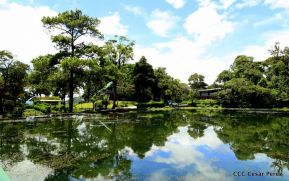 Selva Negra Ecolodge en Matagalpa