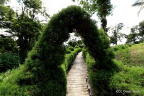 Selva Negra Ecolodge en Matagalpa