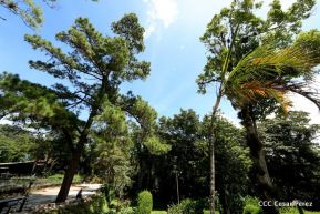 Selva Negra Ecolodge en Matagalpa