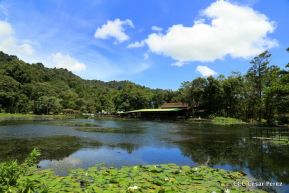 Selva Negra Ecolodge en Matagalpa