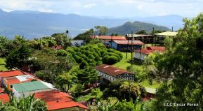 Selva Negra Ecolodge en Matagalpa