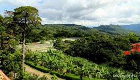 Selva Negra Ecolodge en Matagalpa