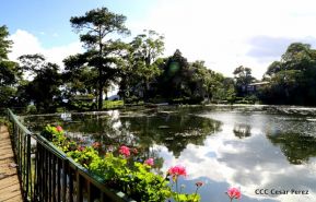 Selva Negra Ecolodge en Matagalpa