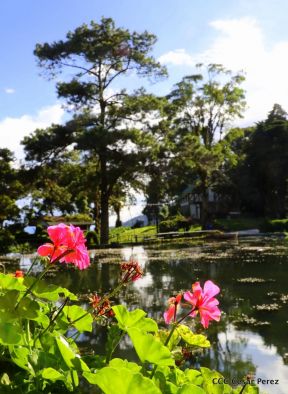 Selva Negra Ecolodge en Matagalpa