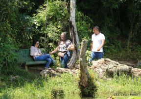 Selva Negra Ecolodge en Matagalpa