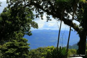 Selva Negra Ecolodge en Matagalpa