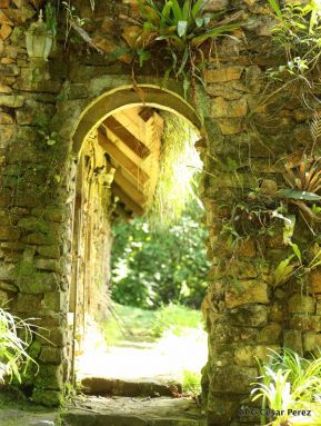 Selva Negra Ecolodge en Matagalpa