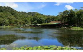 Selva Negra Ecolodge en Matagalpa