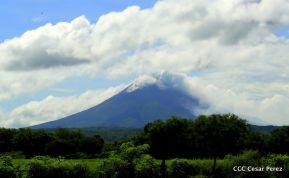 Presentación estrategia nacional de producción de semillas