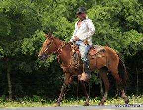 Presentación estrategia nacional de producción de semillas