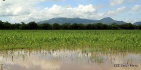 Presentación estrategia nacional de producción de semillas