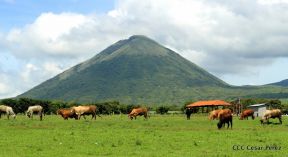 Presentación estrategia nacional de producción de semillas