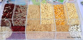 Presentación estrategia nacional de producción de semillas