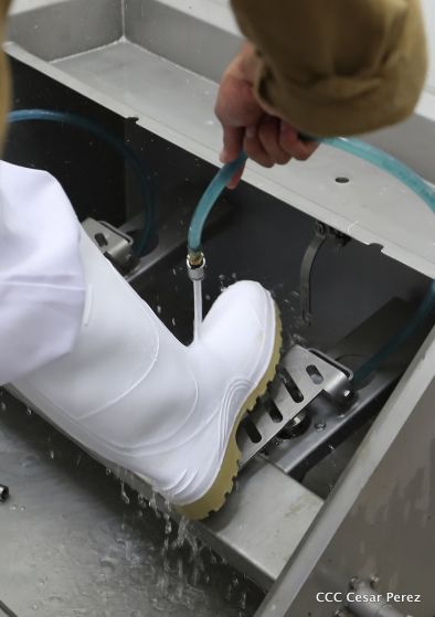 Moderno Matadero del Caribe San Isidro de capital coreano