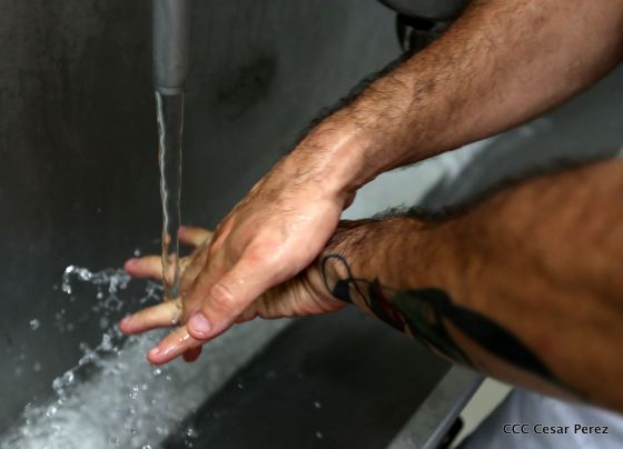 Moderno Matadero del Caribe San Isidro de capital coreano