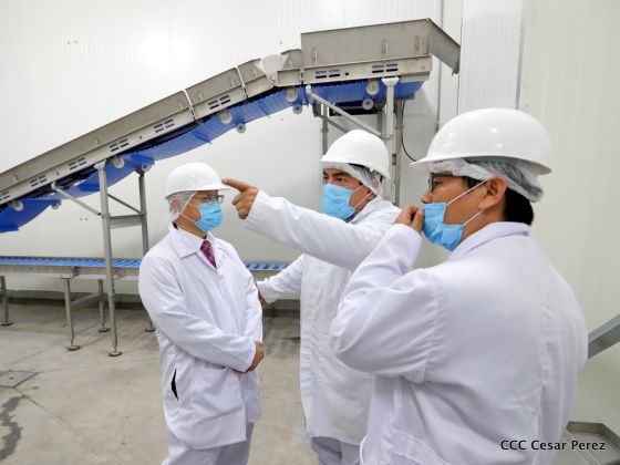 Moderno Matadero del Caribe San Isidro de capital coreano