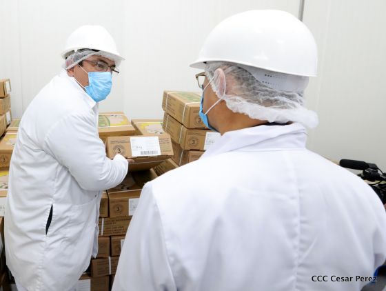 Moderno Matadero del Caribe San Isidro de capital coreano