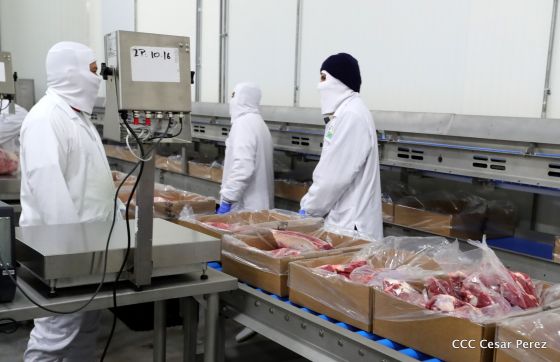 Moderno Matadero del Caribe San Isidro de capital coreano