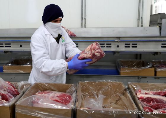 Moderno Matadero del Caribe San Isidro de capital coreano