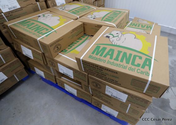 Moderno Matadero del Caribe San Isidro de capital coreano