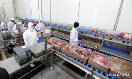 Moderno Matadero del Caribe San Isidro de capital coreano