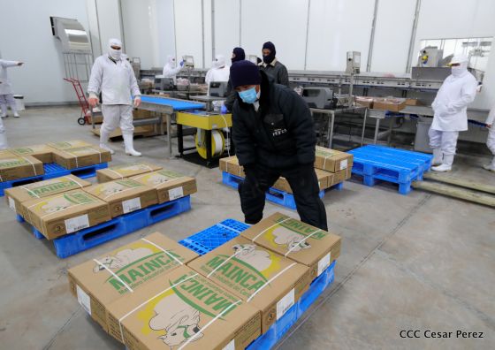 Moderno Matadero del Caribe San Isidro de capital coreano