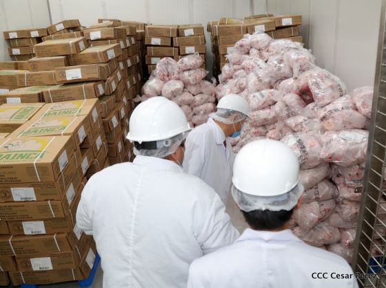 Moderno Matadero del Caribe San Isidro de capital coreano