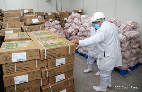 Moderno Matadero del Caribe San Isidro de capital coreano