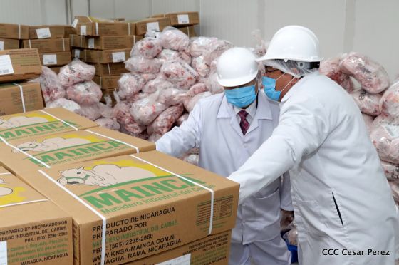 Moderno Matadero del Caribe San Isidro de capital coreano