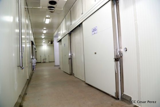 Moderno Matadero del Caribe San Isidro de capital coreano